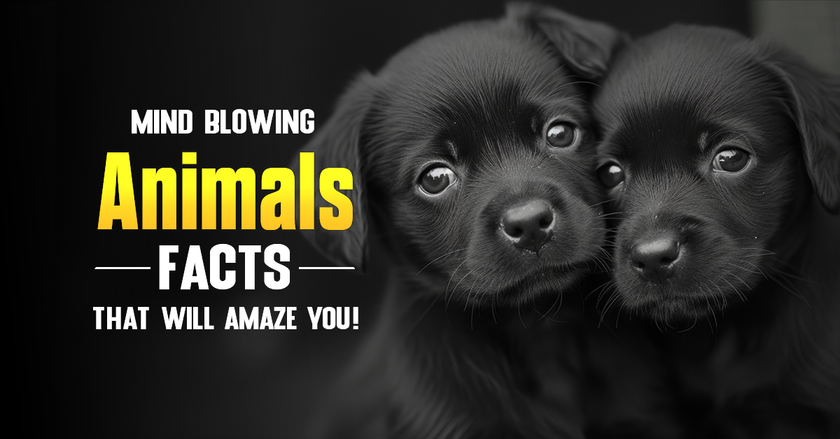 amazing-facts-about-animals